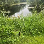 Peipsi House Hébergement de vacances *