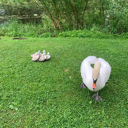 Peipsi House Semesterbostad Varnja