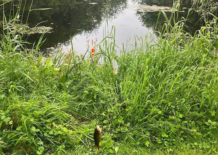 Peipsi House Semesterbostad *