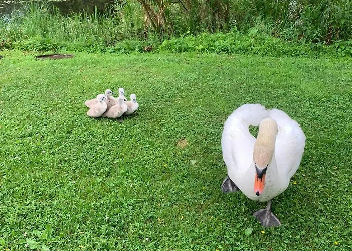 Peipsi House Semesterbostad Varnja